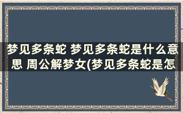 梦见多条蛇 梦见多条蛇是什么意思 周公解梦女(梦见多条蛇是怎么回事)